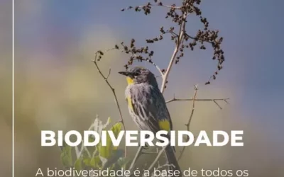Celebre Connosco o Dia Internacional da Biodiversidade!